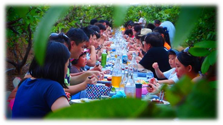 枕頭山花果野食趣一日(自行前往/10人成行)NT2350.-