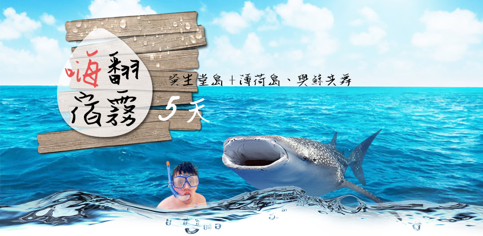 與鯨鯊共游