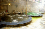 img42.gif