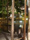 DSCF0074.JPG (1179368 Ӧ줸)