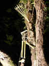 DSCF0080.JPG (1217645 Ӧ줸)