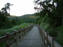 DSCF0179.JPG