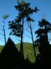 DSCF0226.JPG